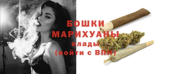 хмурый Медногорск