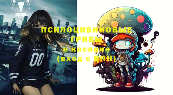 хмурый Медногорск