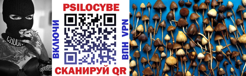 кракен   Кяхта  это формула  наркошоп  Псилоцибиновые грибы Psilocybe 